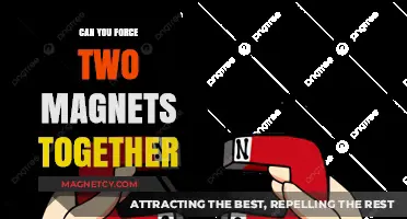 Exploring Magnetic Forces: Can You Really Force Two Magnets Together?