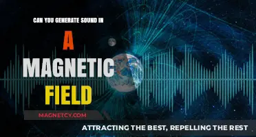 Exploring the Science Behind Sound Generation in Magnetic Fields