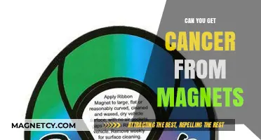 Magnetic Fields and Cancer: Separating Facts from Fiction