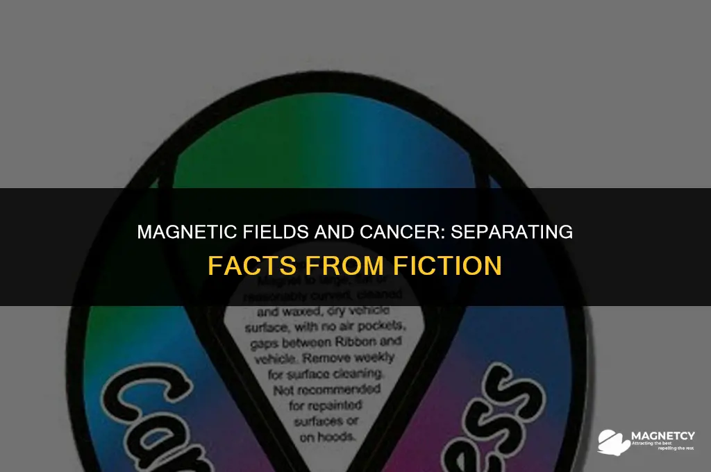 can you get cancer from magnets