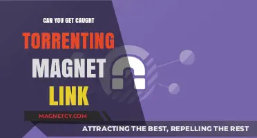 Torrenting Magnet Links: Understanding the Risks and Consequences