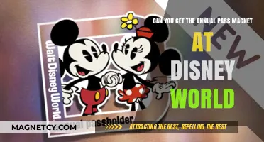 Unlocking Magic: Your Guide to Annual Pass Magnets at Disney World
