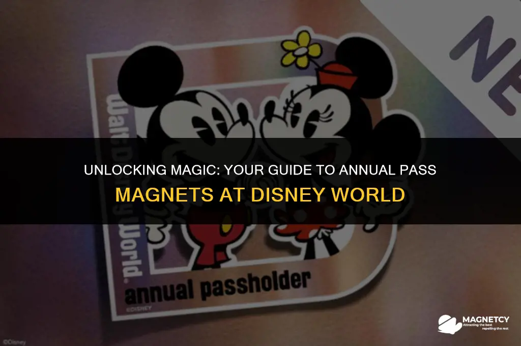 can you get the annual pass magnet at disney world