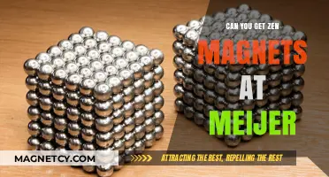 Exploring Meijer: Your One-Stop Shop for Zen Magnets and More