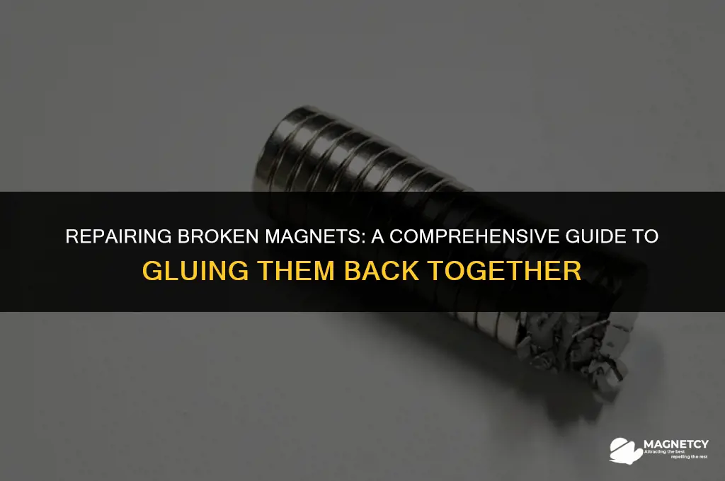 can you glue a magnet back together