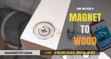 Exploring the Bond: Gluing Magnets to Wood Surfaces