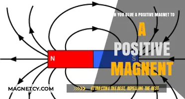 Exploring Magnetic Attraction: Can Like Poles Stick Together?