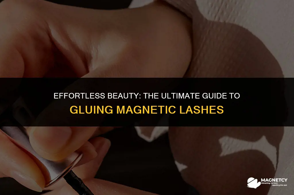 can you glue magnetic lashes