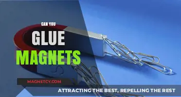 Exploring the Possibilities: Can You Really Glue Magnets Together?
