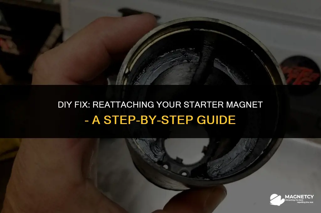 can you glue starter magnet back on