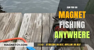Exploring the Possibilities: Magnet Fishing Adventures Across Diverse Locations