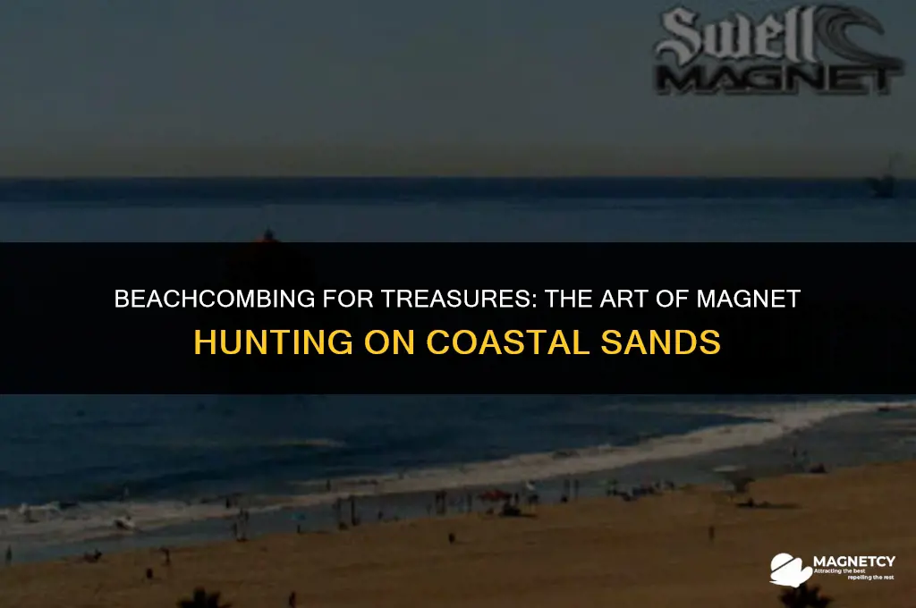 can you go magnet hunting on the beach
