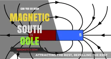 Exploring the Mysteries of Magnetic South: A Journey Unveiled