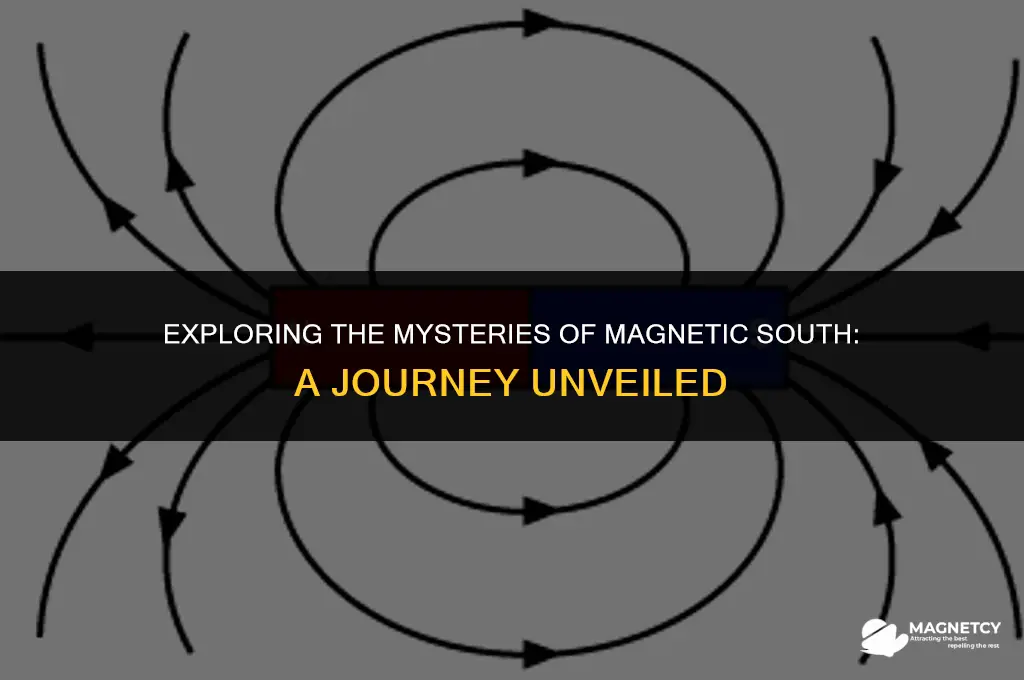 can you go near magnetic south oole