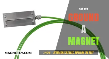 Exploring the Limits: Can You Really Ground a Magnet?