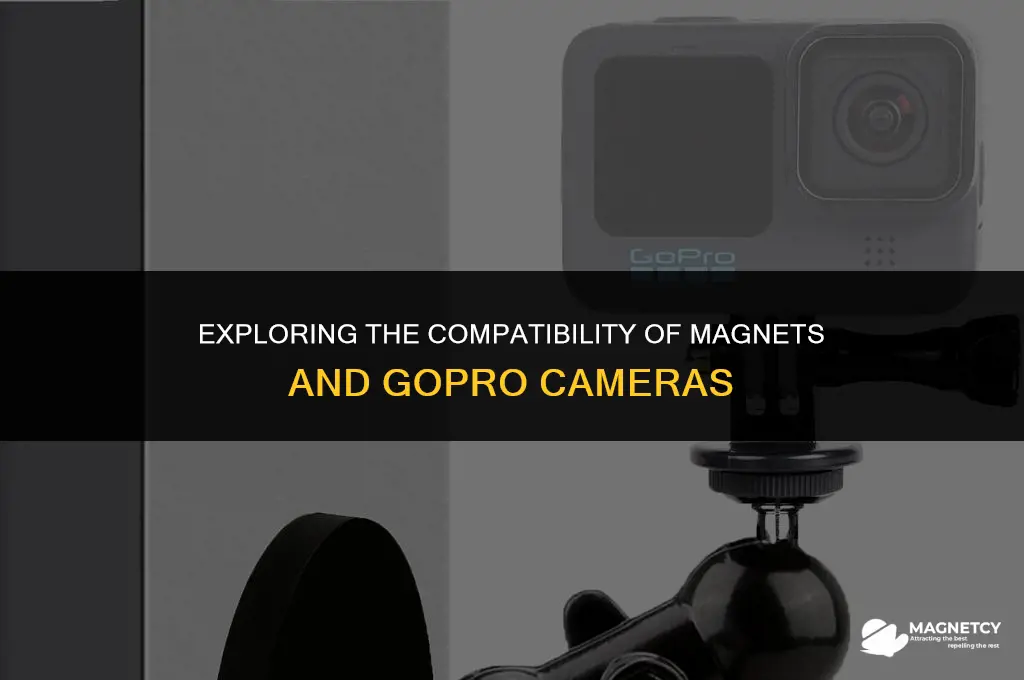 can you have a magnet close to a gopro