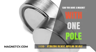 Exploring the Myth: Can Magnets Truly Exist with Just One Pole?