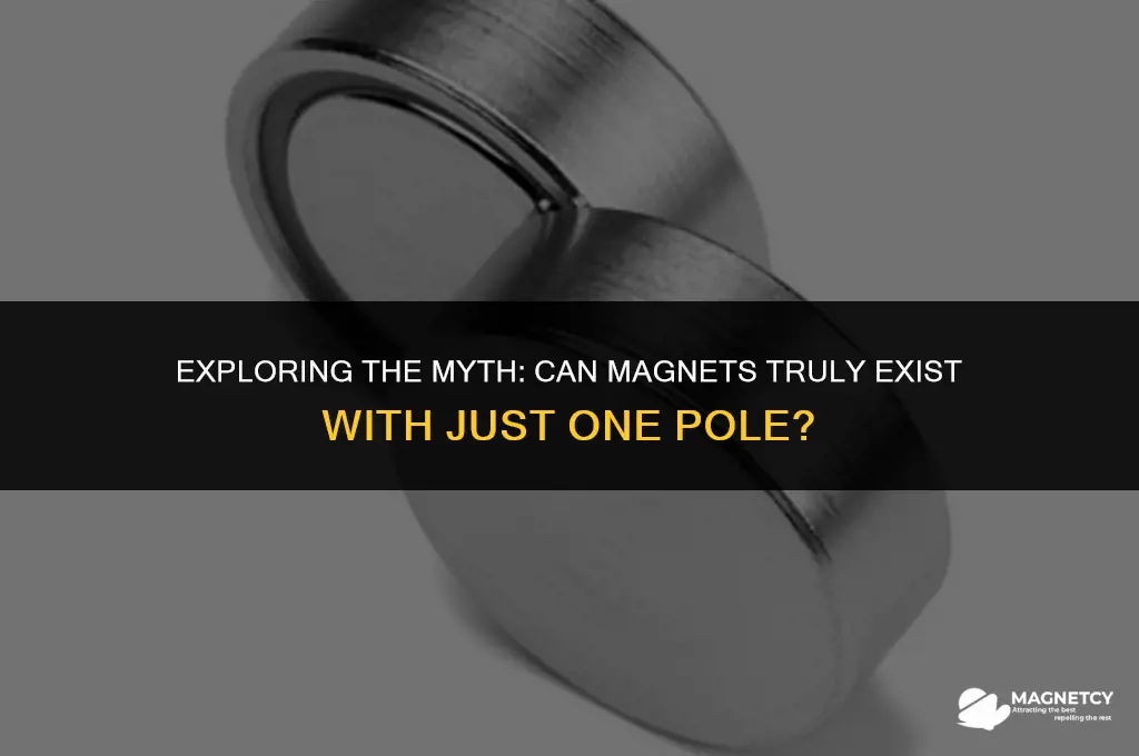 can you have a magnet with one pole