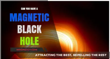 Exploring the Possibility of Magnetic Black Holes: A Cosmic Enigma