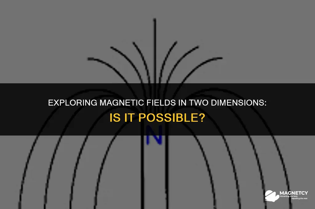 can you have a magnetic field on a 2d plane