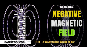 Exploring the Concept of Negative Magnetic Fields: A Deep Dive