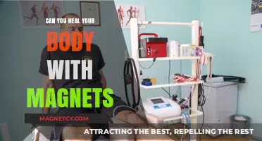 Exploring the Healing Potential of Magnets: A Scientific Perspective
