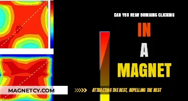Exploring the Audible Mysteries of Magnetic Domains