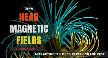 Exploring the Audible Mysteries of Magnetic Fields