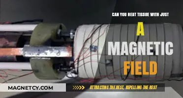 Exploring the Limits: Can Magnetic Fields Alone Heat Tissue?