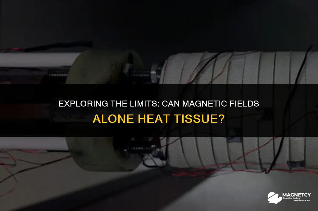 can you heat tissue with just a magnetic field