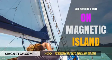 Exploring Magnetic Island: Your Guide to Boat Rentals and Adventures
