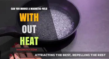 Exploring Magnetic Fields: Induction Without Heat
