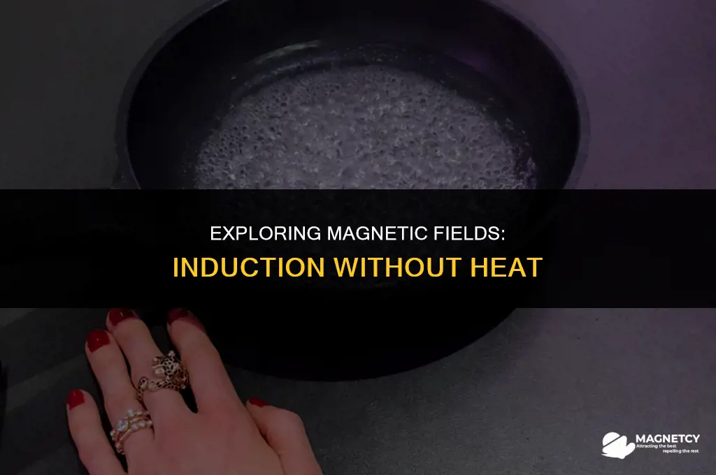 can you induce a magnetic field with out heat