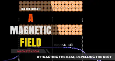 Shielding Spaces: The Science of Insulating Magnetic Fields