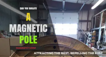 Exploring the Elusive Magnetic Pole: A Quest for Isolation