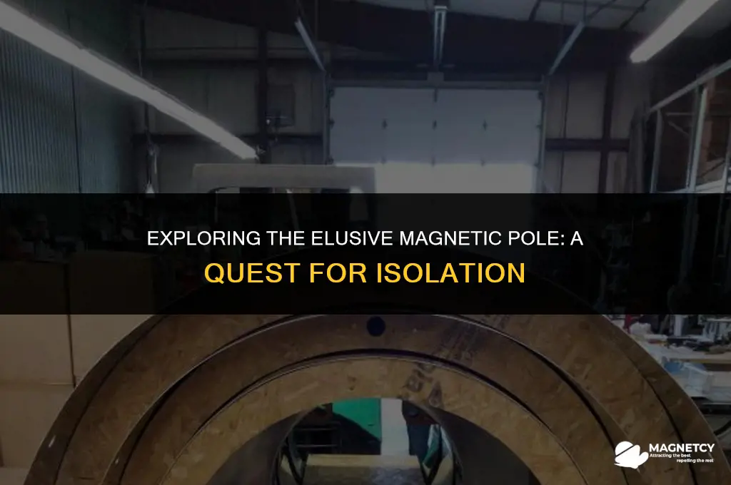 can you isolate a magnetic pole