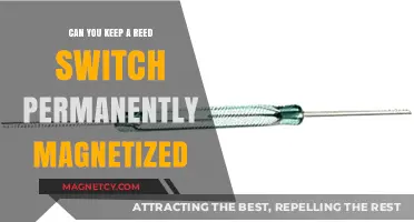 Exploring the Limits: Can Reed Switches Stay Magnetized Forever?