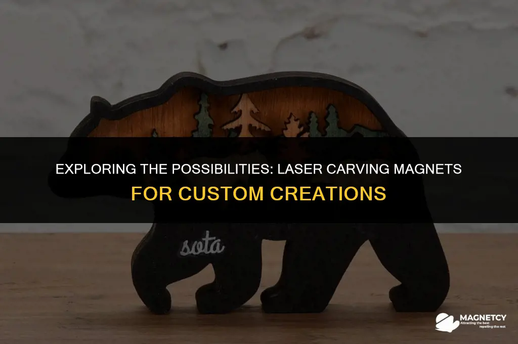 can you laser carve a magnet