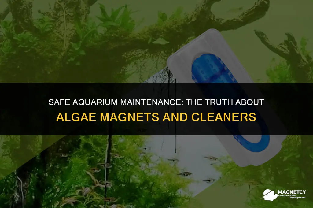 can you leave alge magnets clearners in aquarium