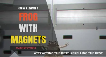 Defying Gravity: The Surprising Truth About Frogs and Magnets