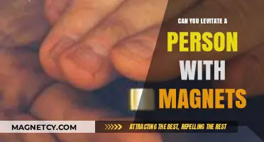 Exploring the Limits: Can Magnets Really Levitate a Person?