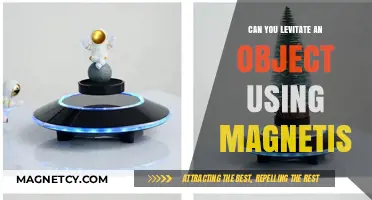 Levitating Objects with Magnetism: Exploring the Science Behind the Magic