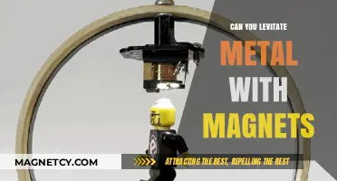 Defying Gravity: The Fascinating World of Magnetic Levitation