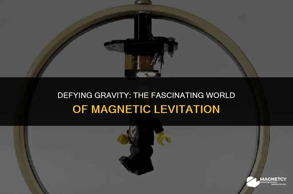 can you levitate metal with magnets