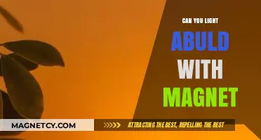 Exploring the Science: Can You Really Light a Bulb with a Magnet?