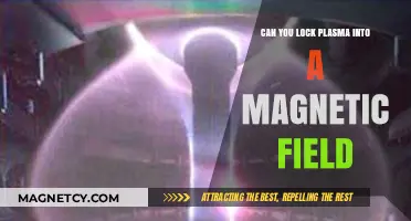 Harnessing Plasma: The Quest to Tame Magnetic Fields