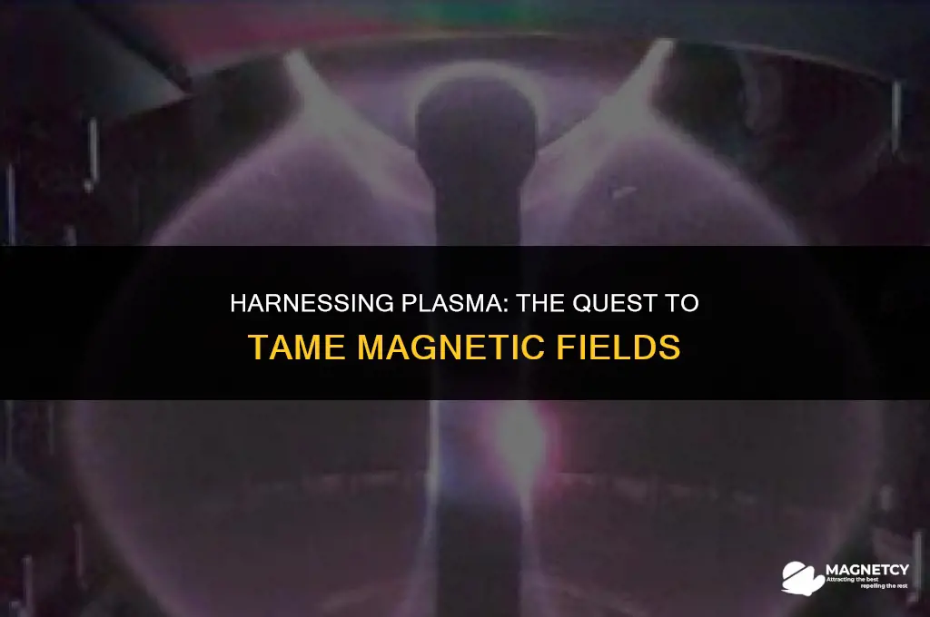 can you lock plasma into a magnetic field