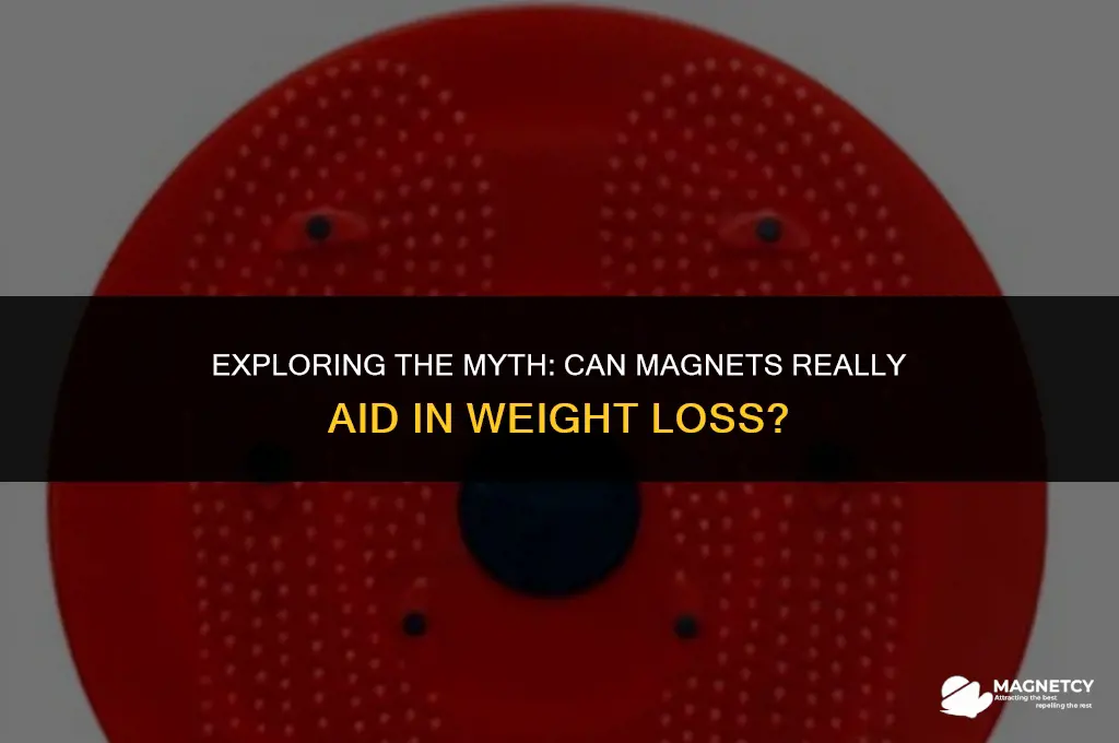 can you lose weight with magnets