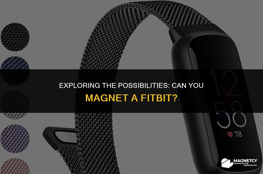 can you magnet a fit bit