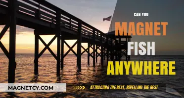 Exploring the Versatility of Magnet Fishing: A Comprehensive Guide
